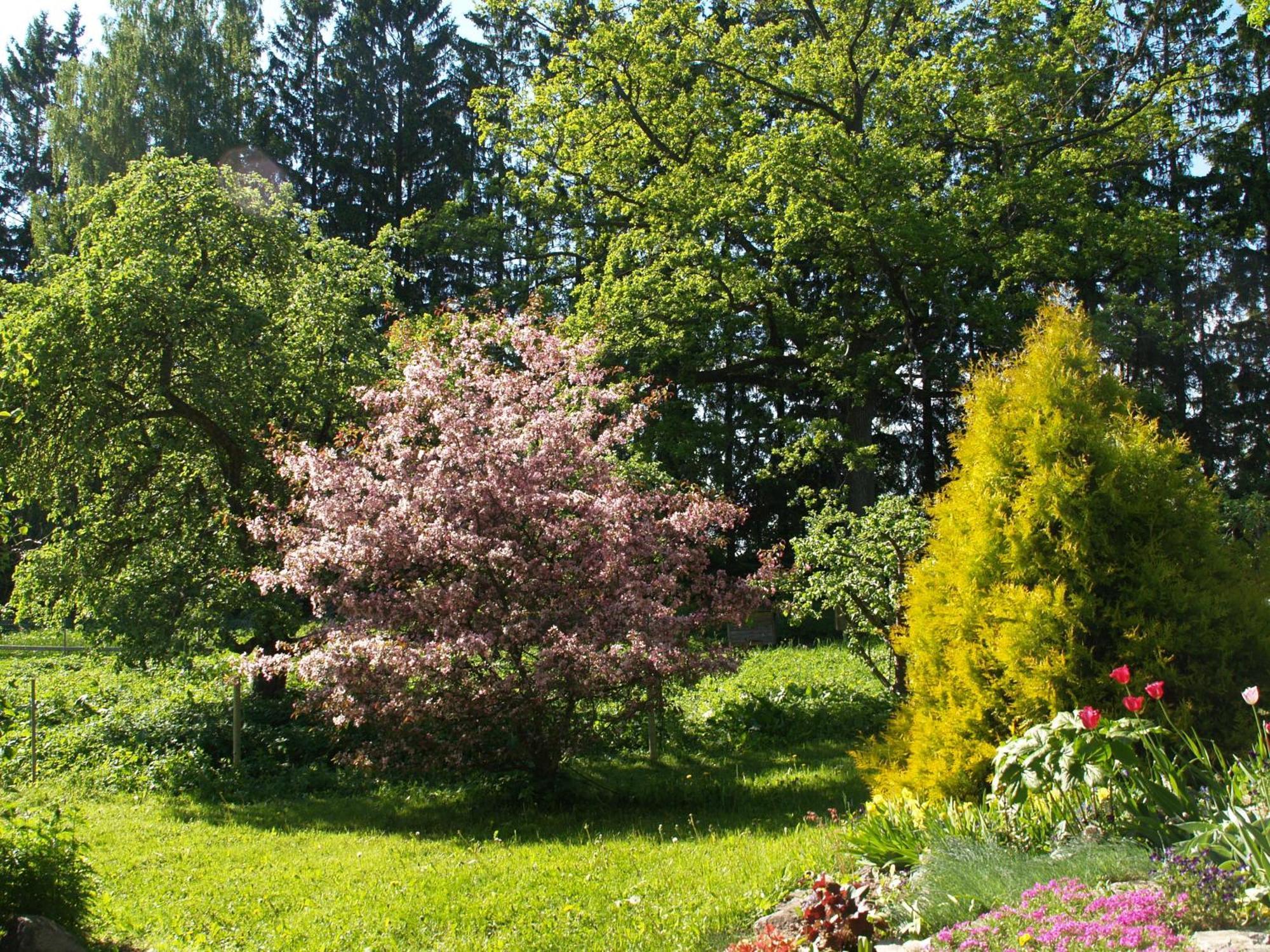 Mokko Country Hotel Palamuse Zewnętrze zdjęcie