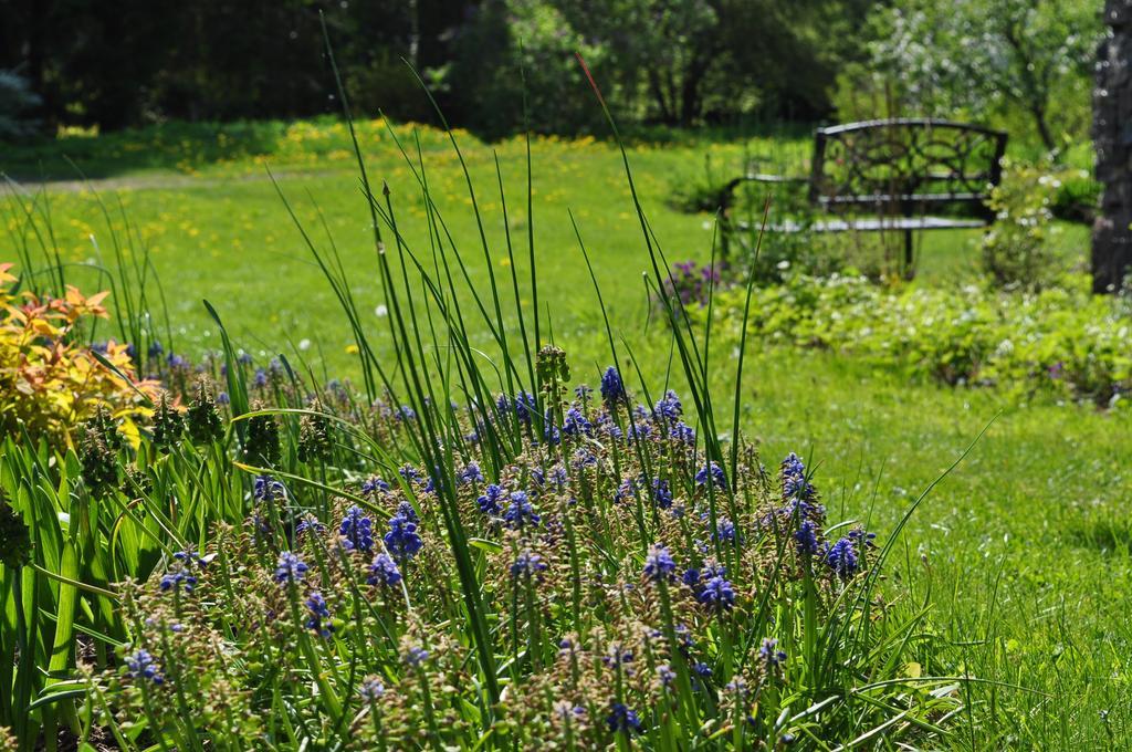 Mokko Country Hotel Palamuse Zewnętrze zdjęcie