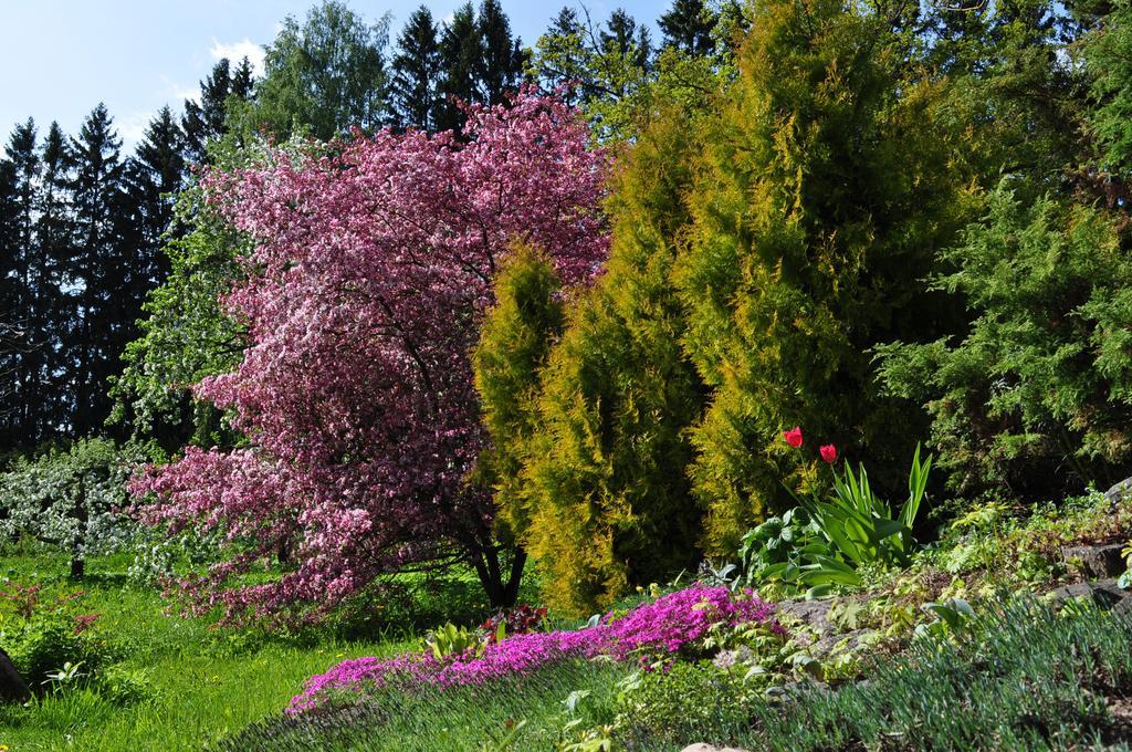 Mokko Country Hotel Palamuse Zewnętrze zdjęcie